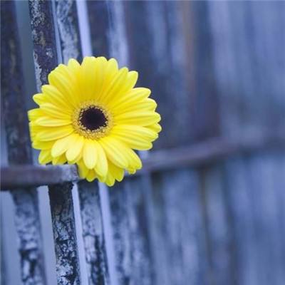 ManBetX客户端截图