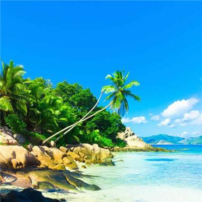 ManBetX客户端截图