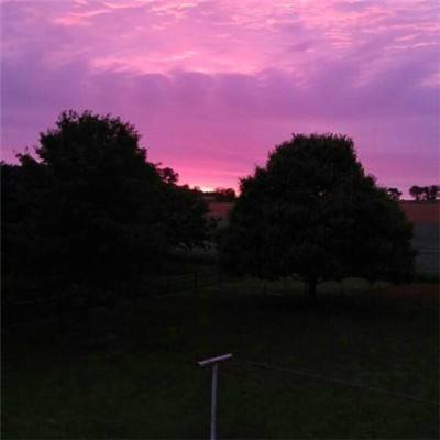 168极速赛车全天计划单期